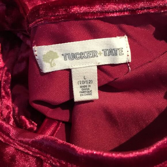 Tucker Tate Velvet Twirl Dress Long Sleeve Swing Size Large - Picture 5 of 5